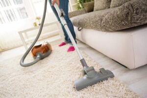 Carpet Cleaning Services